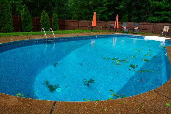 Swimming pool with green water and debris after a storm, surrounded by a patio and lounge chairs, illustrating the need for restoration and maintenance services. Swimming pool with green water and debris after a storm, surrounded by a patio and lounge chairs, illustrating the need for restoration and maintenance services.
